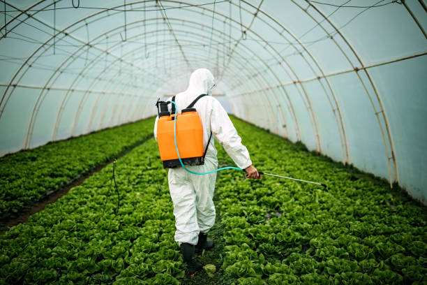Best Residential Pest Control  in Waynesboro, MS