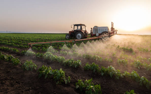 Best Best Pest Control Companies  in Waynesboro, MS