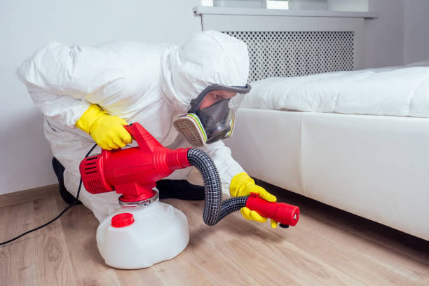 Best Termite Control Services  in Waynesboro, MS