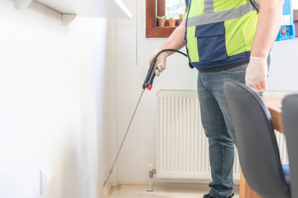 Best Affordable Pest Control Services  in Waynesboro, MS