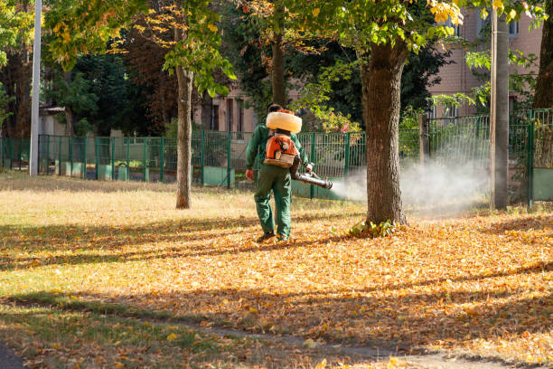 Best Flea Control Services  in Waynesboro, MS