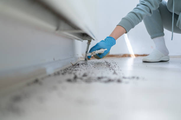 Reliable Waynesboro, MS Pest Control Solutions